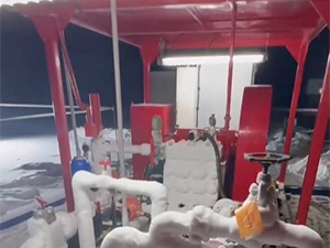 Casos de Éxito
